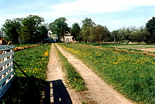 Oldendorf